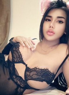 Sofia Thailand - Transsexual escort in Ipoh Photo 4 of 11