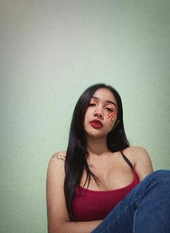 Sofia Thailand - Acompañantes transexual in Ipoh Photo 6 of 8