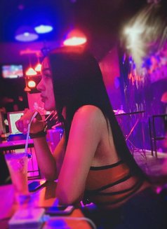 Sofia Thailand - Acompañantes transexual in Ipoh Photo 7 of 8