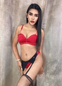 Sofia Thailand - Transsexual escort in Kuala Lumpur Photo 2 of 7