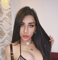 Sofia Top, (Both) - Male escort in Ipoh