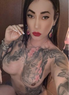 Sofia Tr. Master of Your Fantasies - Acompañantes transexual in Malta Photo 14 of 16