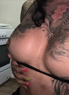 Sofia Tr. Master of Your Fantasies - Acompañantes transexual in Malta Photo 15 of 16