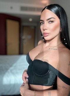 SOFIA - escort in Al Manama Photo 11 of 22