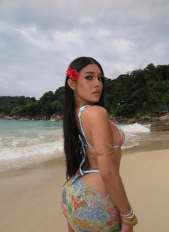 Sofia Versatile xx🇹🇭 - Transsexual escort in Bangkok Photo 29 of 29