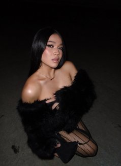 Sofia Versatile xx🇹🇭 - Transsexual escort in Bangkok Photo 27 of 30