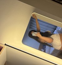 Sofia Vvip - escort in Bangkok Photo 1 of 6