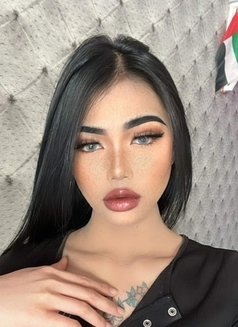 Sofia Young Shemale, Thai Male escort in Al Manama