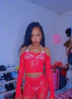 Sofia07 - escort in Al Ain Photo 5 of 6