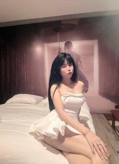 Sofiaa - escort in Bangkok Photo 5 of 8