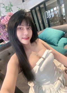Sofiaa - escort in Bangkok Photo 1 of 17