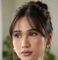 Sofiacoxs - Transsexual escort in Kuala Lumpur