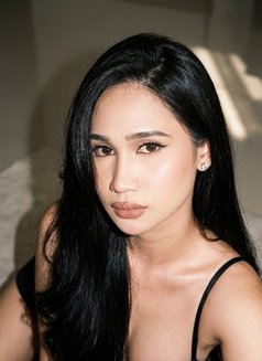 Sofiacoxs - Transsexual escort in Kuala Lumpur Photo 2 of 4