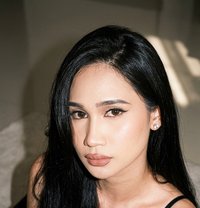 Sofiacoxs - Transsexual escort in Kuala Lumpur