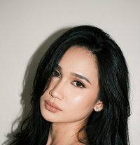 Sofiacoxs - Transsexual escort in Kuala Lumpur