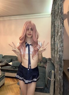 Sofiacrossdress - Transsexual escort in Baku Photo 14 of 14