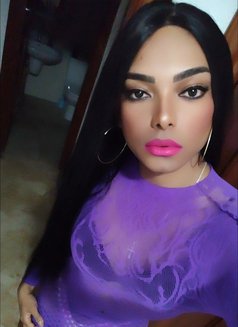 Sofiaflour - Transsexual escort in Bangkok Photo 1 of 7