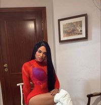 Sofiaflour - Transsexual escort in Bangkok