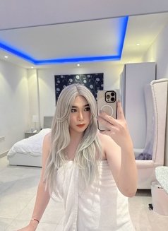 Sofiala Ladyboy VIP new in Dammam🇸🇦 - Transsexual escort in Dammam Photo 6 of 6