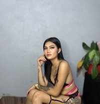 ️Sofie Baby Gurl - Acompañantes transexual in Pasig