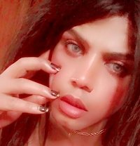 Sofie - Transsexual escort in Cairo