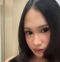 Sofie - Acompañantes transexual in Kuala Lumpur