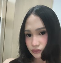 Sofie - Acompañantes transexual in Kuala Lumpur