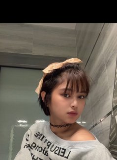 Sofie - Male escort in Riyadh Photo 1 of 16