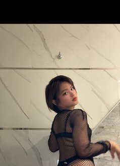 Sofie - Male escort in Riyadh Photo 8 of 16