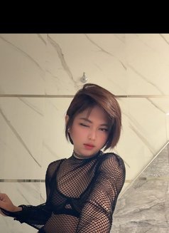 Sofie - Male escort in Riyadh Photo 10 of 16