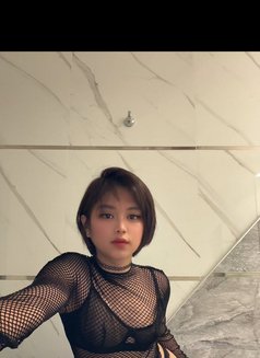 Sofie - Male escort in Riyadh Photo 16 of 16