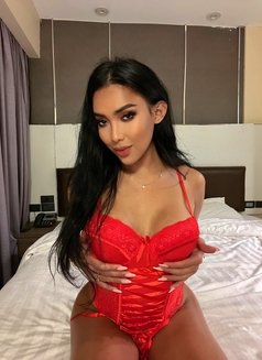 Sofie Fox ( gf outside bf in bed ) - Transsexual escort in Bangkok Photo 28 of 30