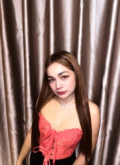 Sofie pussy tight - escort in Taipei Photo 4 of 8