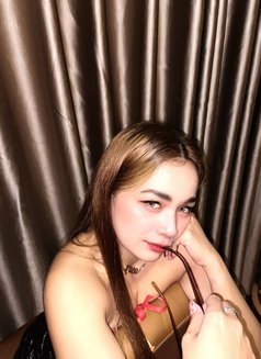 Sofie pussy tight - escort in Taipei Photo 6 of 8