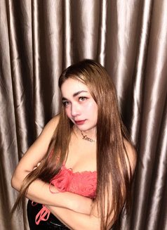 Sofie pussy tight - escort in Taipei Photo 8 of 8