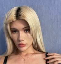 Sofiya - Transsexual escort in Tashkent