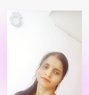 Sofiya meet and Cam Show - puta in Chennai Photo 1 of 1