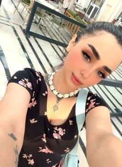 Sofy for the first time in muscat - escort in Muscat Photo 17 of 17