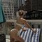Soha - escort in Muscat
