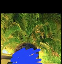 Sohail - Acompañantes masculino in Hyderabad