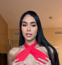 Saho - escort in Beirut