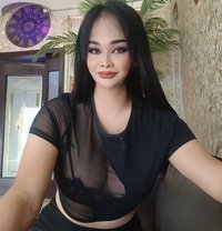 Migel236 - Acompañantes transexual in Pattaya