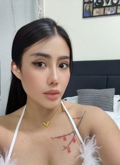 Som🇹🇭 - escort in Abu Dhabi Photo 13 of 15