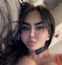 Soma سوما 🇸🇦 - Transsexual escort in İstanbul