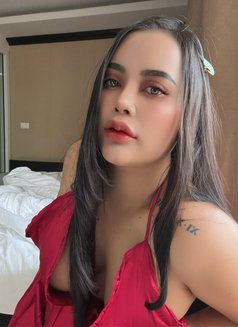 Somjeed. Incall / Outcall - escort in Pattaya Photo 16 of 16
