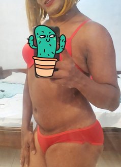 Sonali Aarya - Sexy Ladyboy in Colombo - Transsexual escort in Colombo Photo 10 of 21