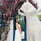 Sonali Biswas - escort in Kolkata Photo 3 of 4