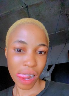 Sonia - puta in Alexandria Photo 1 of 3