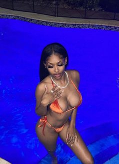 Sonia - puta in Dubai Photo 10 of 11