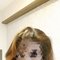 Sonia Independent Girl ★Real Meet Cam - escort in Mumbai Photo 4 of 4